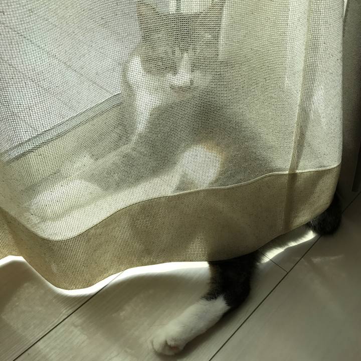 4667066b 1ea0 4b2e 8cb7 f23e4d802cee