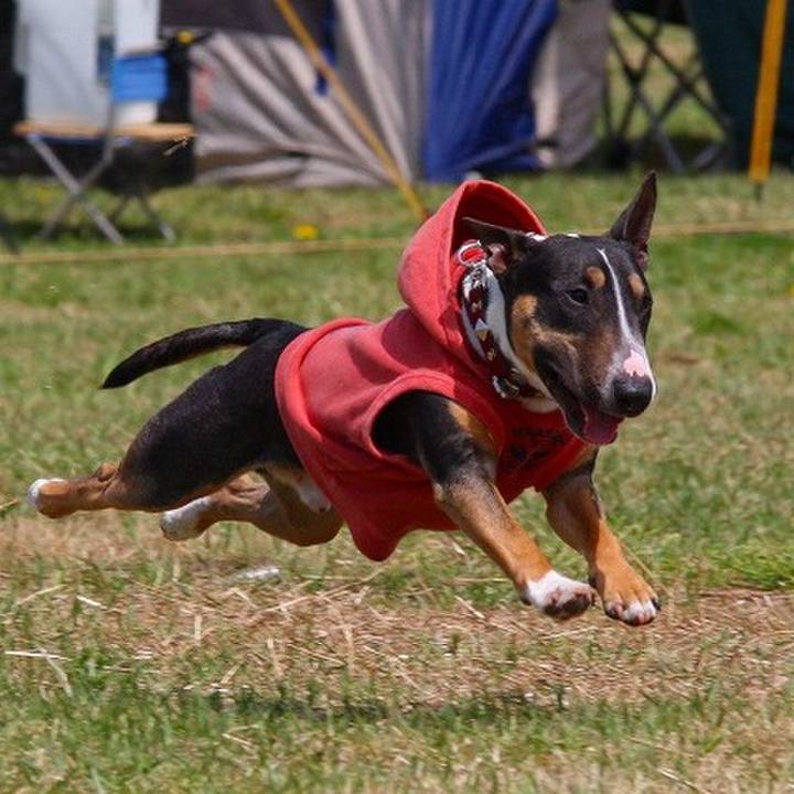 466714cb f1b8 41c8 b02b ef0ad82f222d