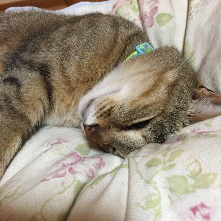 46673ba1 a131 4b7c 9bef 9c163f83c4a2