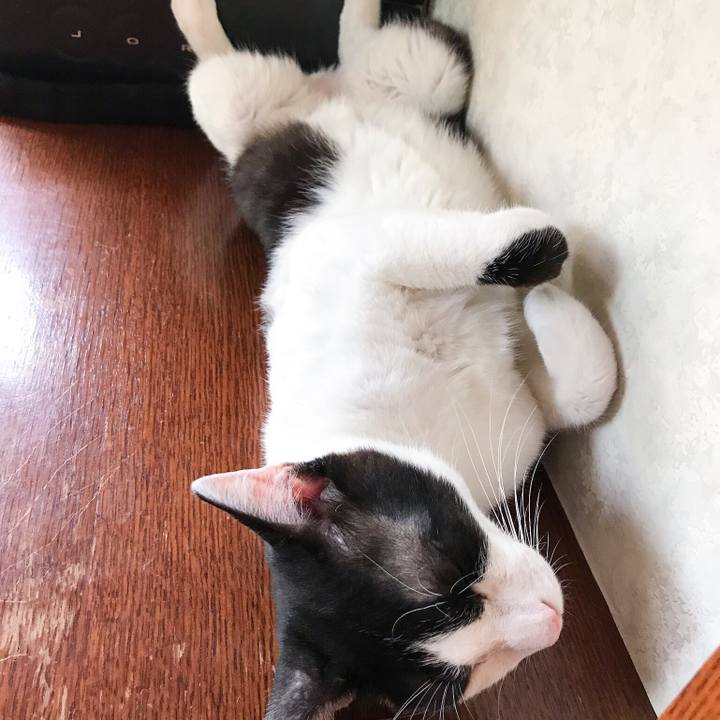 46676be9 bafd 46a7 88ed 3d5bbca86672