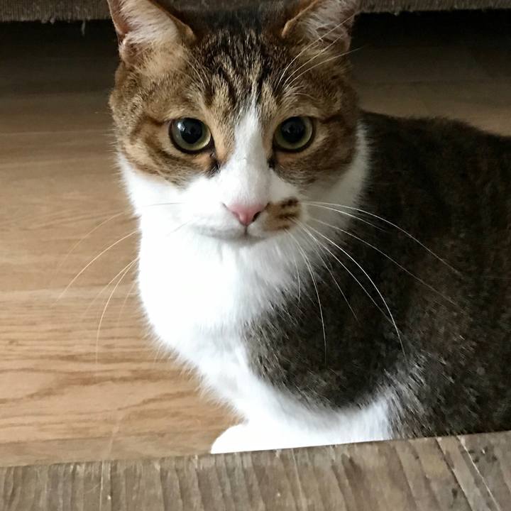 46677558 1783 402e aafc 53cc57ecf4e1