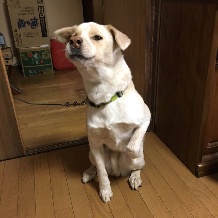 466787f5 73cf 4fcd 98b6 f65eb2424c9e