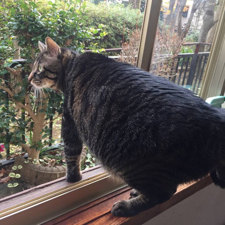 4668a6be 2394 4716 b470 637533cb23d2