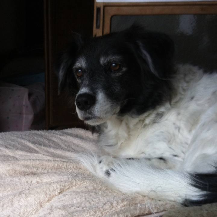 4668ae7a 6243 4b57 8b6a eab75ae0f6bd