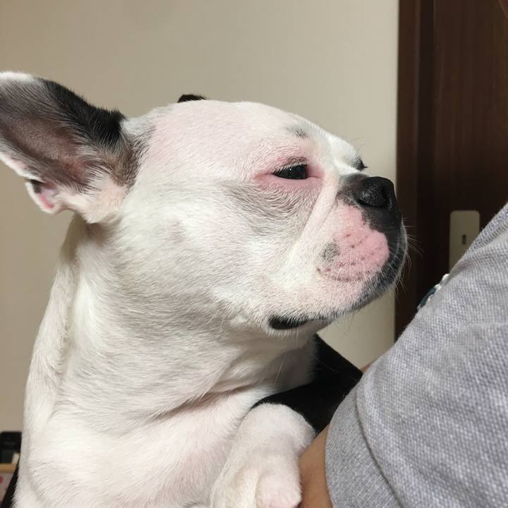 46692986 06ff 452f bfe7 9ef08afdcd39