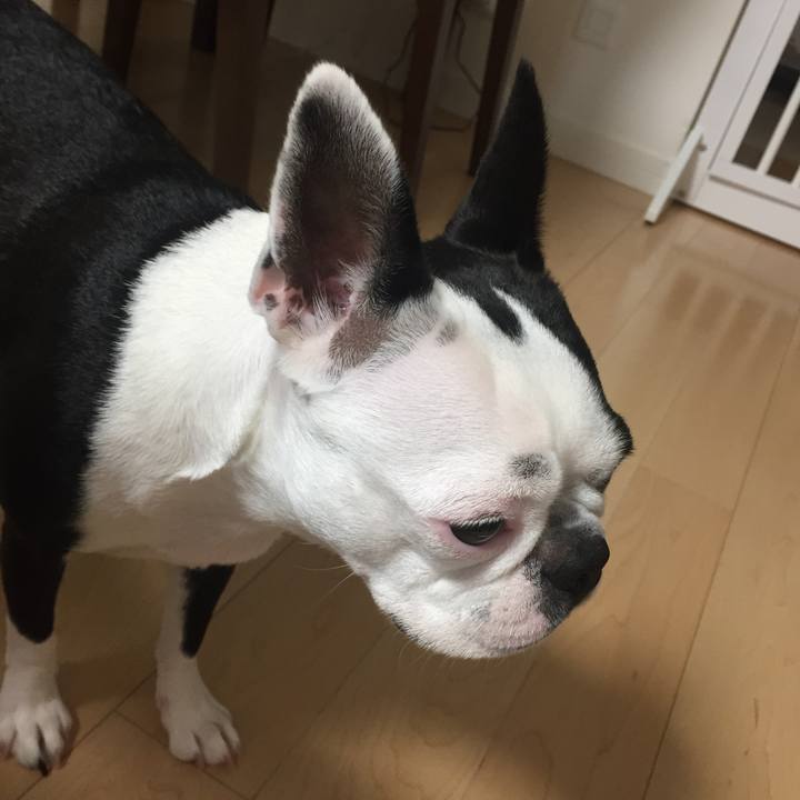 466977e2 7e6e 4879 ada4 ad3425ab4419