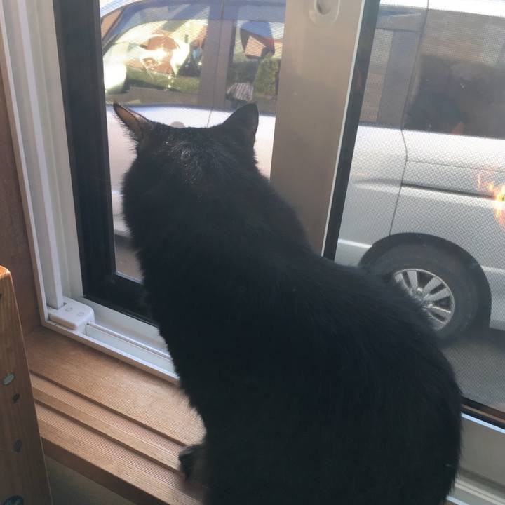 4669d359 ceb4 4a84 8d03 270fad23e586