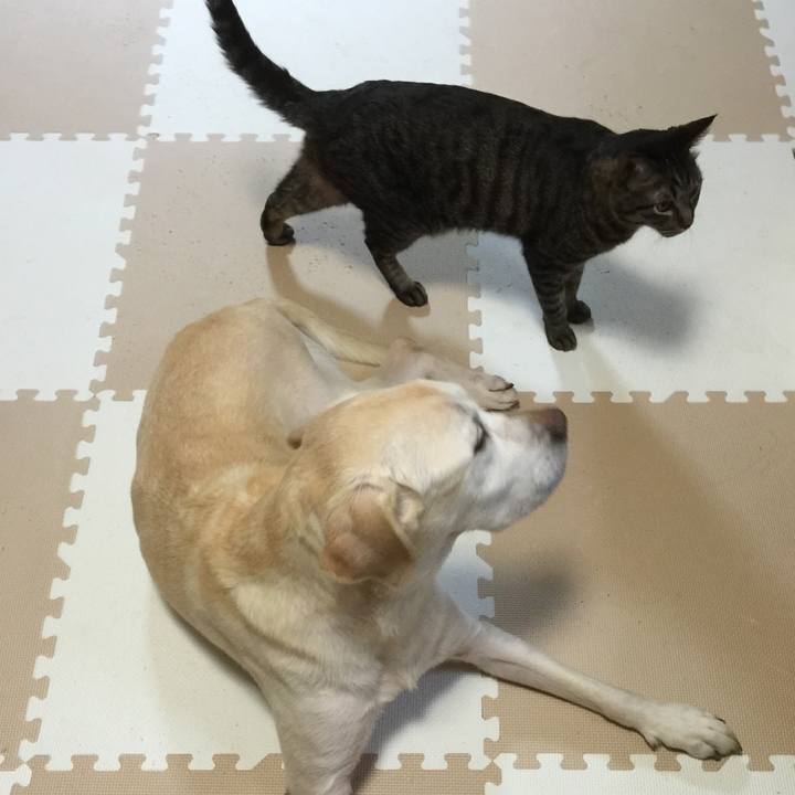 4669d9df 4f92 4ea2 a877 7b58049af559