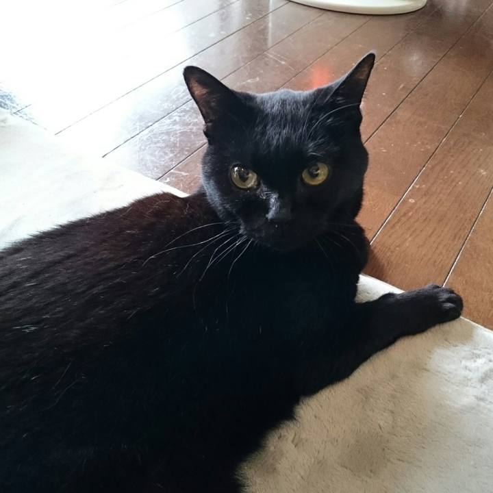 4669ffea b0ca 4184 8df1 a4c5a5e2e95d