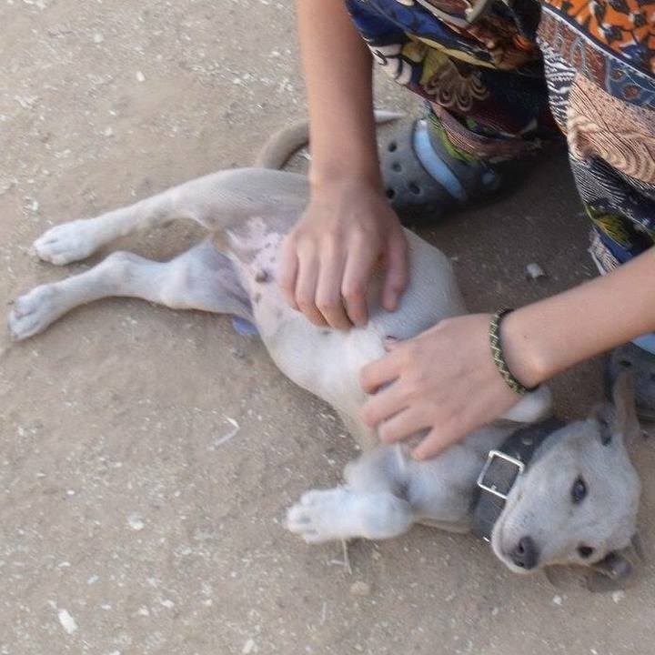 466a4c58 6143 4e84 b76d 39abed26fbc7