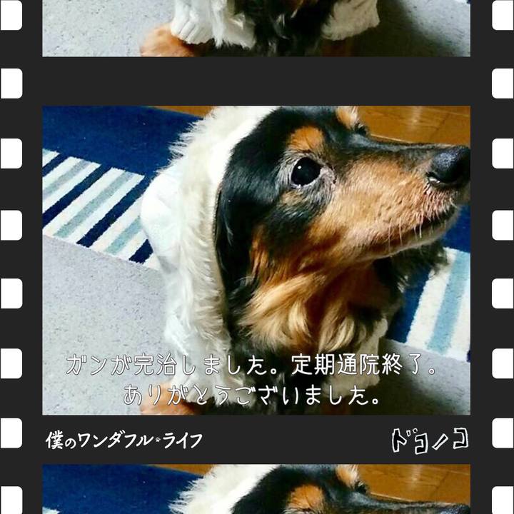 466abd04 105e 4359 91ea 8386e7d8ed64