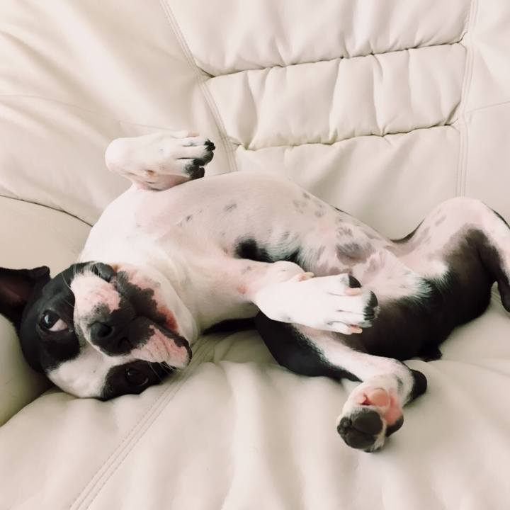 466ae04f 6d4c 4f67 b842 8a0dc46f2748