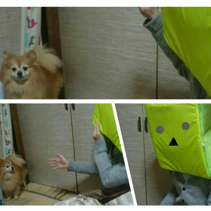 466b3319 5ab4 487a aa1c e4d40e0fa159