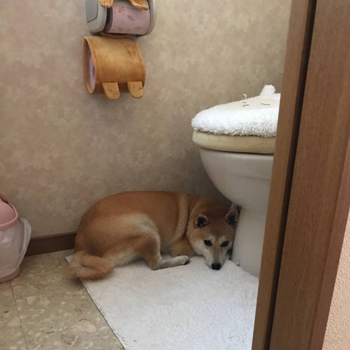 466b6767 8ae4 4188 9bf9 bc243c33f150