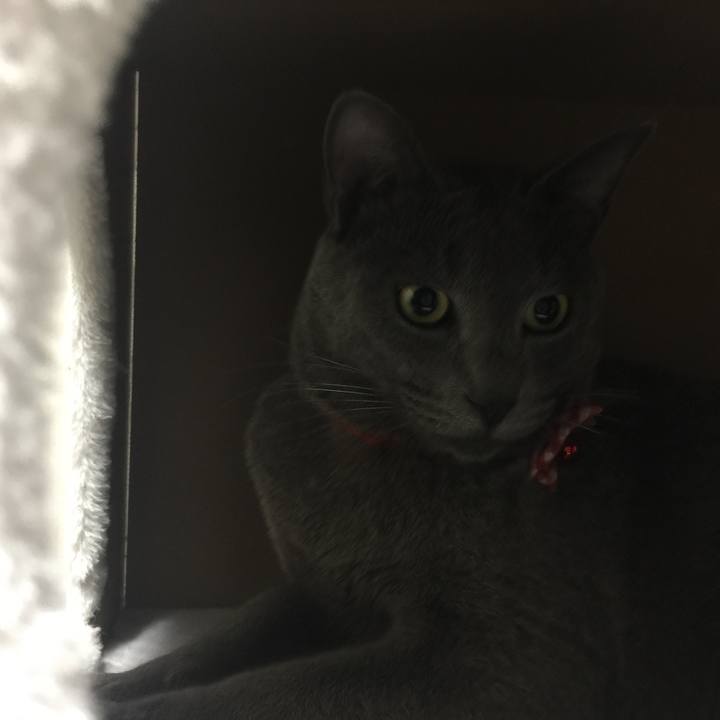 466ba555 6e29 4a1f b250 acbb2c123605