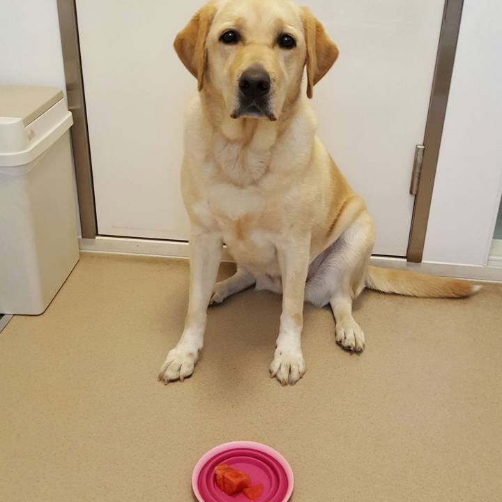 466c99a9 aca0 42ac b9cb 5ec3d36a3587