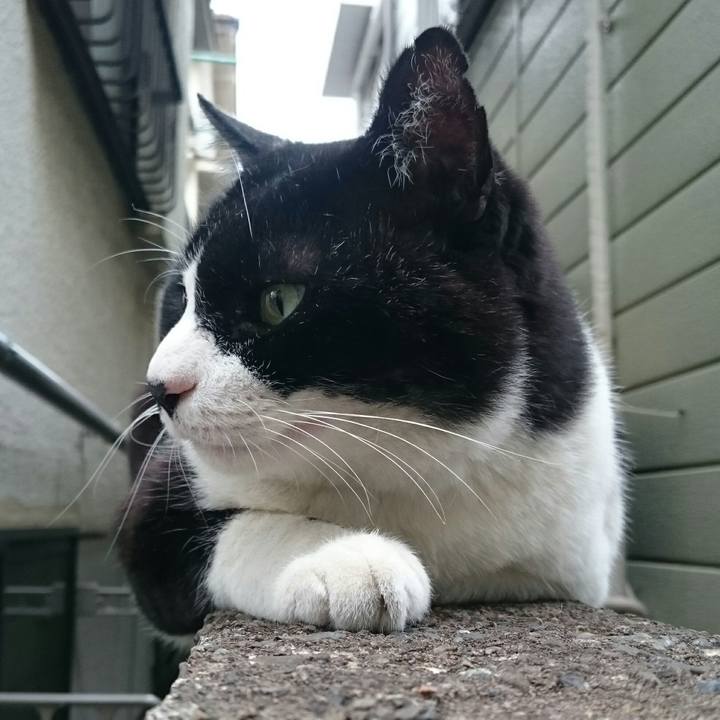 466cbb4c 0f71 44e4 8727 4eb9437c55ad