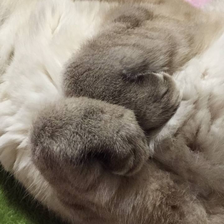 466d1ba3 d8ce 4c25 9376 a7fcebac582a