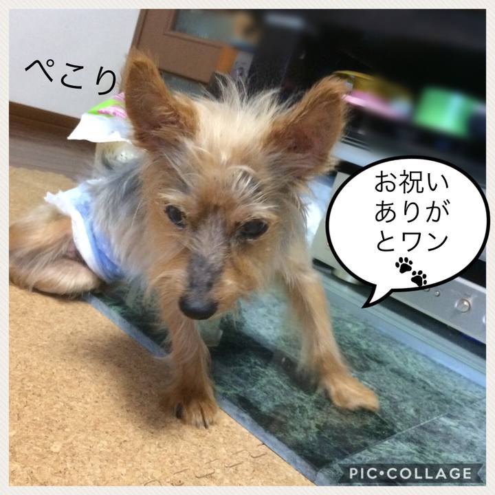 466d9d54 f412 46a2 a4f8 ae77c30630cb