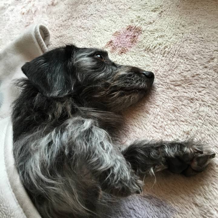 466da709 dec2 4293 b8c7 dbe64576514f