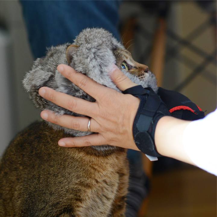 466dae42 e095 4642 8e38 c9478cd82050