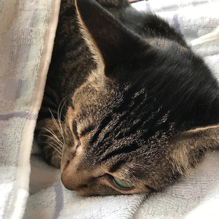 466f64a9 4107 466a a72b dedf922a2abc