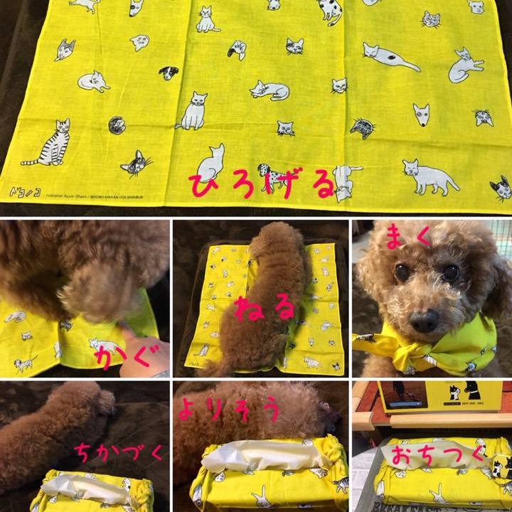 467018ca dcd8 4b42 87ae fe5d6096341f