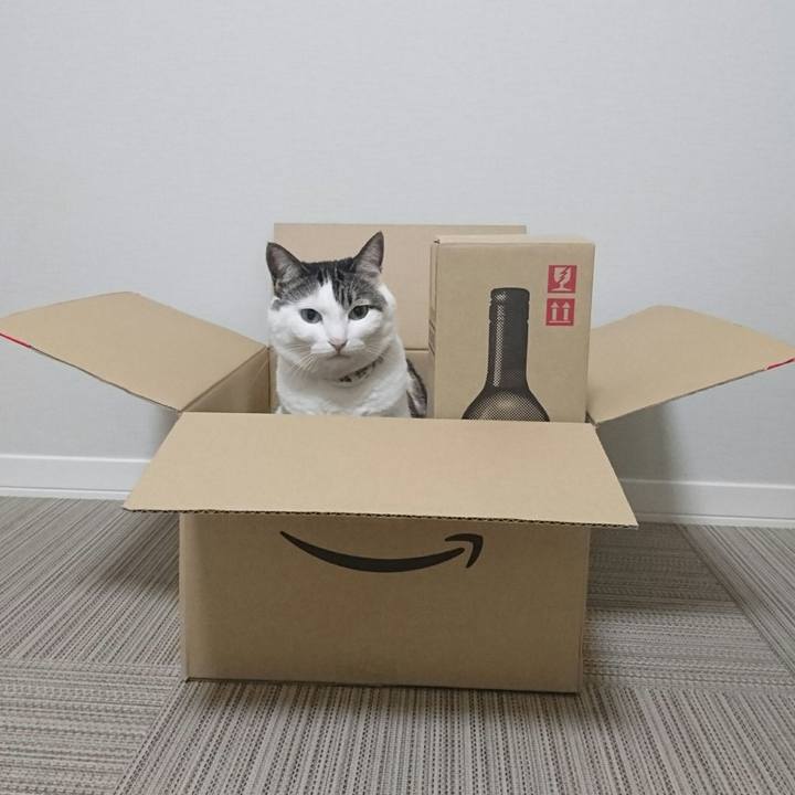 4670b16b cb5f 41e9 a0a5 4c6504d029b8