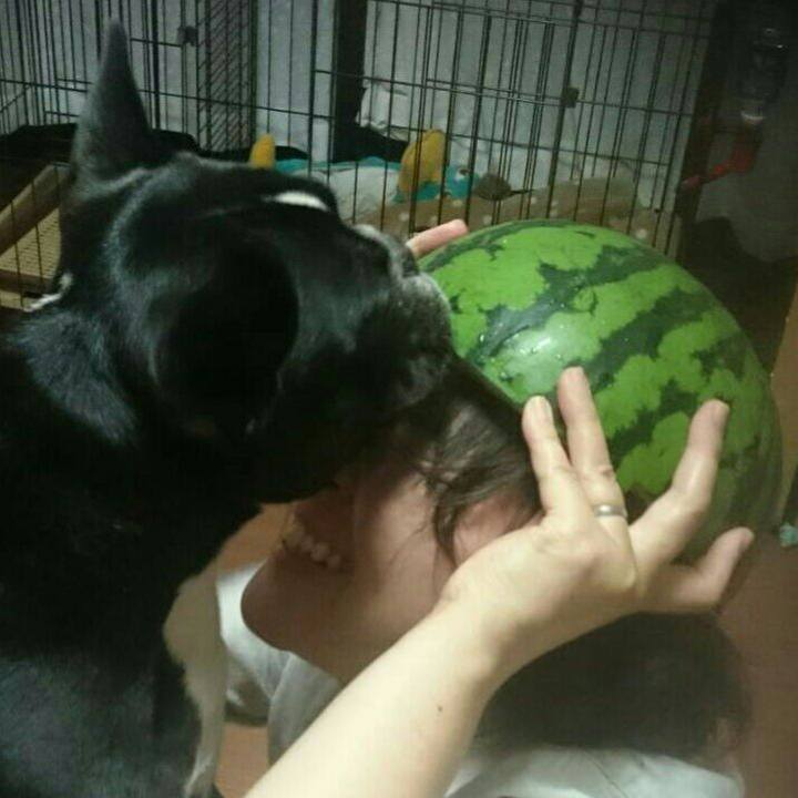 4670bed2 c5ad 4691 bb0a 67546cff76f0