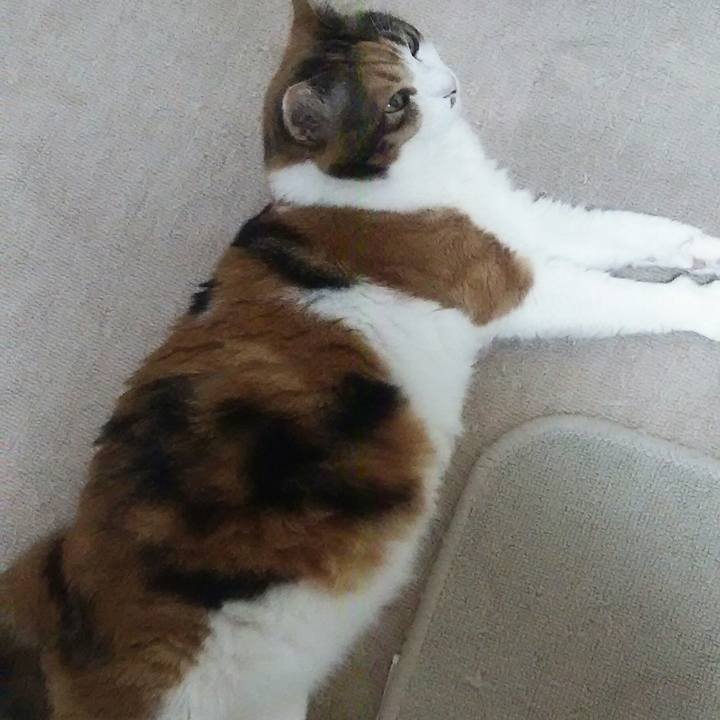 46719ca7 f520 4b99 afad 8d0d12d2460f