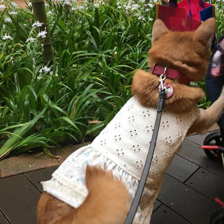 46719eec 619d 4152 9550 39cc5aacc25c