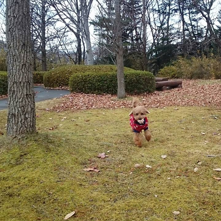 4673df41 8bfb 4dcd 9b3a 5bc4a039e514