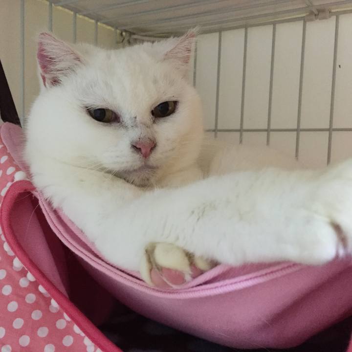 467438dc 0b52 4734 a705 77b17a0dfe42