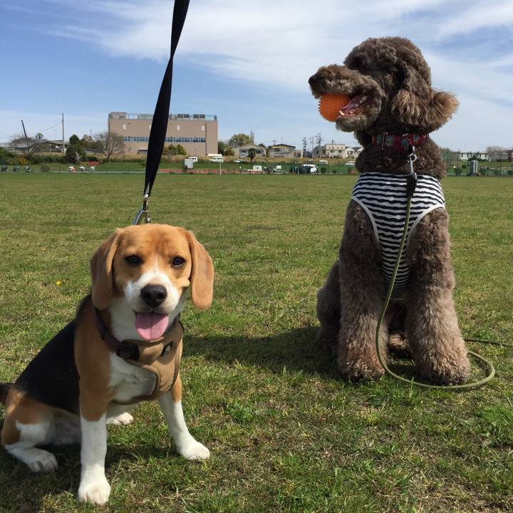 46748505 c2ed 4793 b2ec 55978b3d65ab