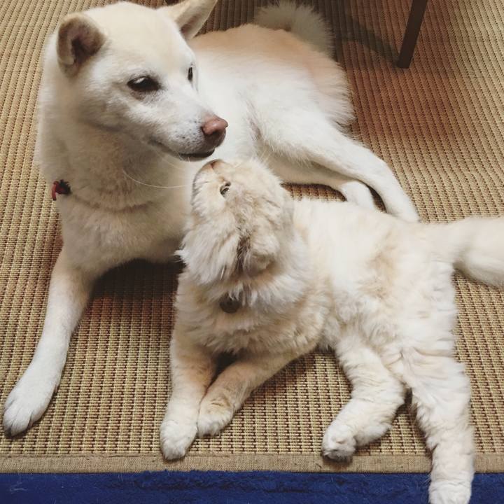 467579fc fc61 42e8 bc2b edcf8e0e5dcd