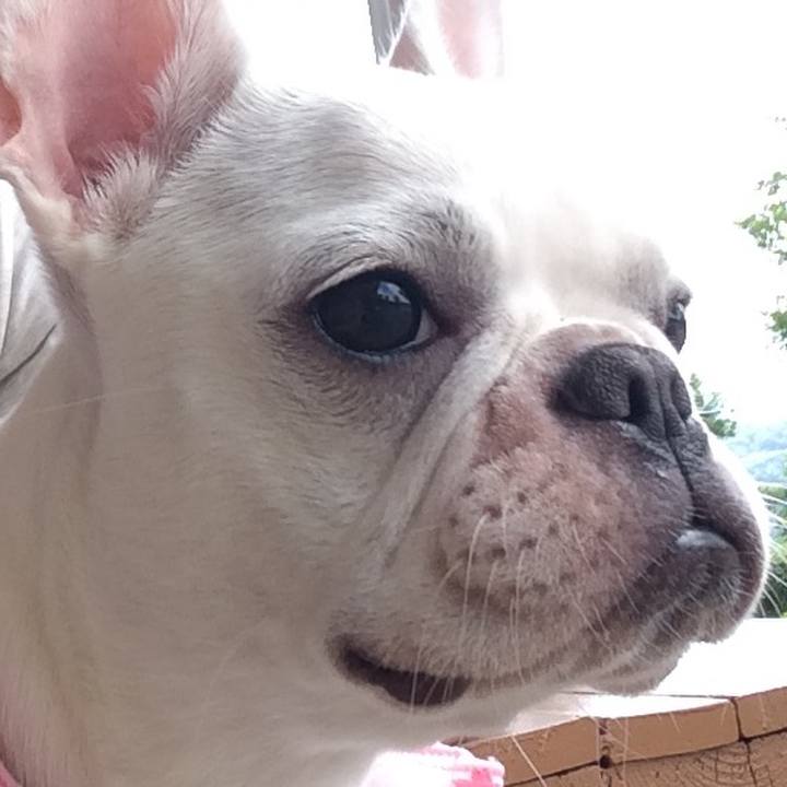 4675a271 21f5 4810 b9cc 8ca750741423