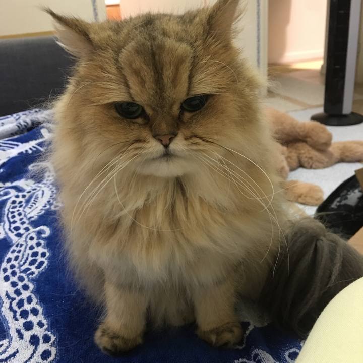 4675d53b f75c 42da 91dd 622e5eddd477