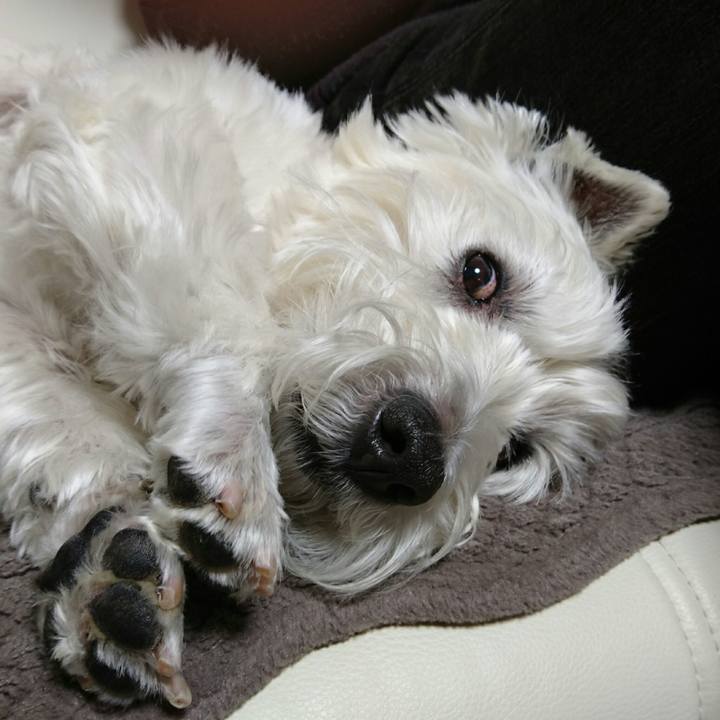 467603d7 762f 4a4b 9963 e61ab47c74ba