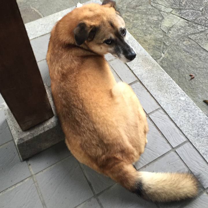 46769ba6 123f 4c8e b05f 5c25e0ef9901