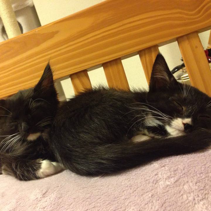 4676e2bc 705c 4a86 8405 cc84cb303a6e