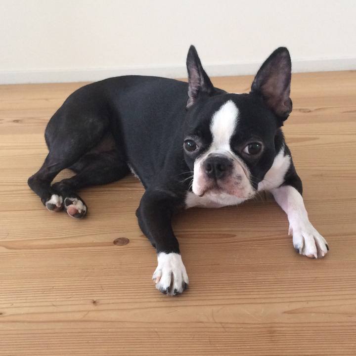 4676eeff b8ca 4a5f a99d 89cba20a7a0e