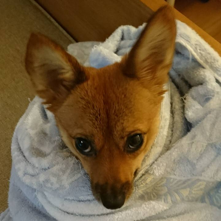 4677a4a5 ab0b 4bd6 ac82 c9ffc41ccd59