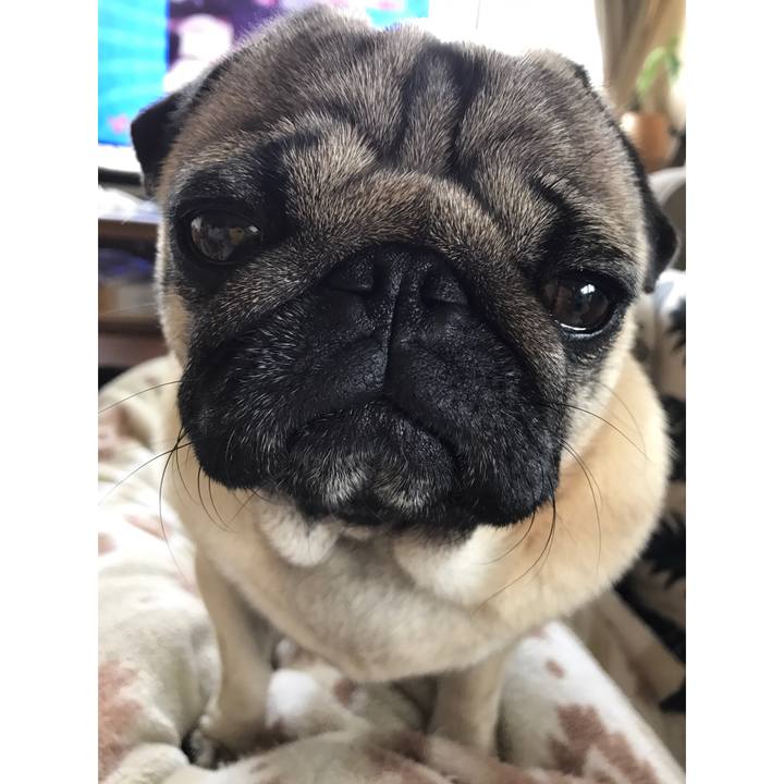 4677aa94 e855 49c1 9cc2 59bd90785ac6