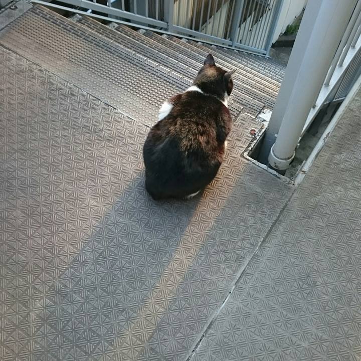 4677cc9f 631f 4347 8ec5 56d93b3b8e81