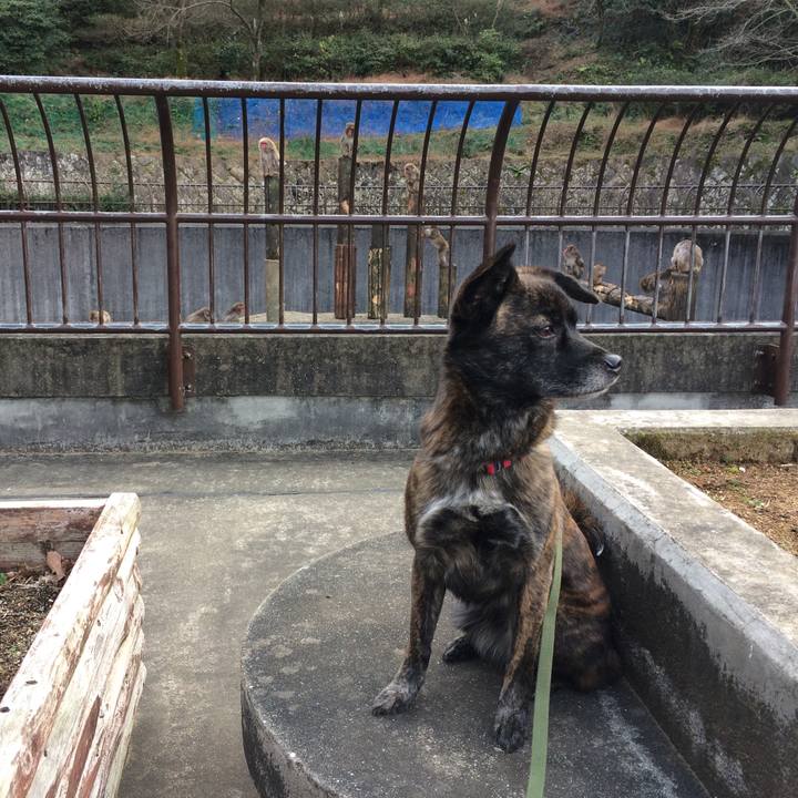 46783d0a 95be 4814 a3d2 f38d95e560e7