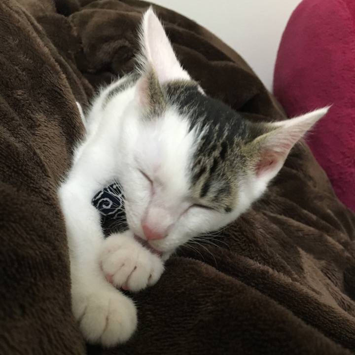 46784e93 54c0 44ad bdaa db4c901f8d15