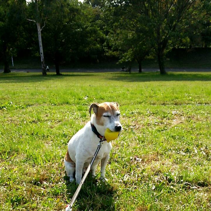 4678bea4 f698 4cf7 b327 2a9aa0d89bf7