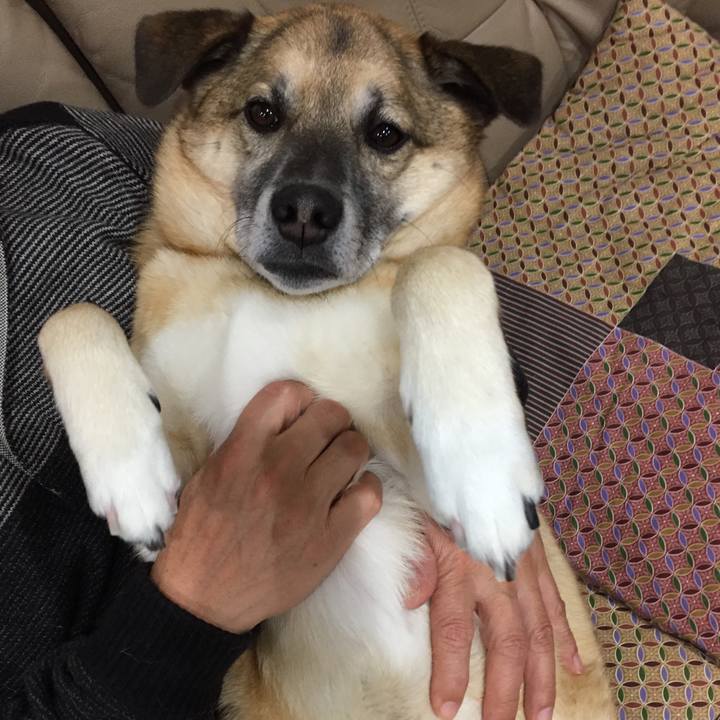 4678d193 1e3c 4d37 84d7 c21d3306d3af