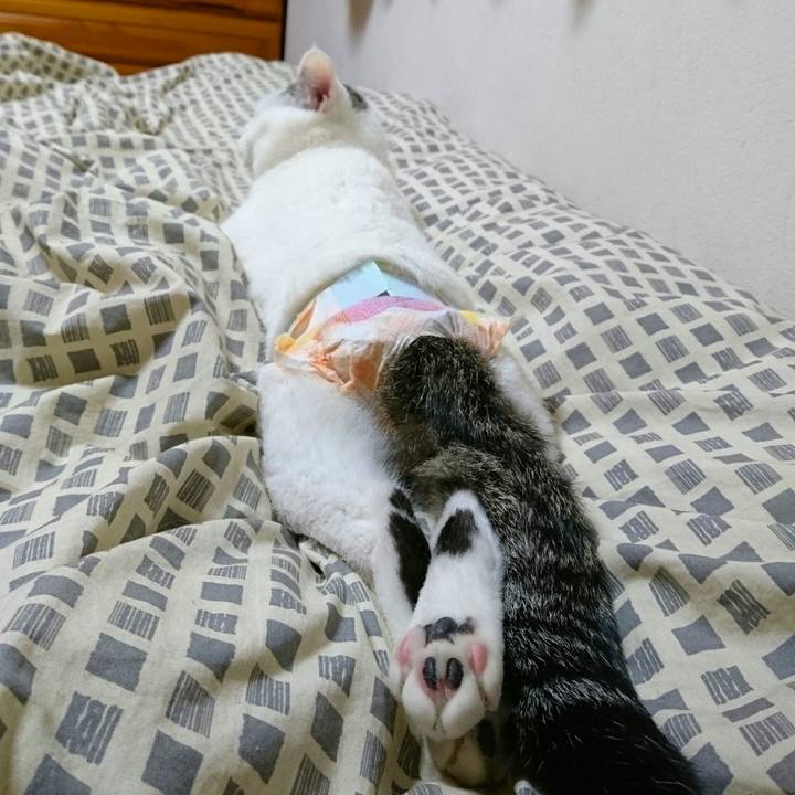 4678e332 78f7 402b 9db8 5aa09cdbdac7