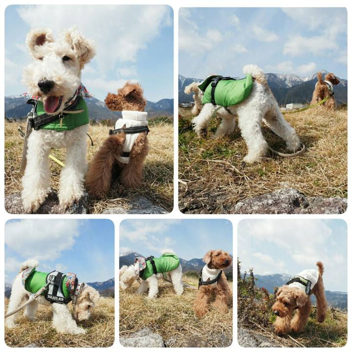 4678fd58 7cdf 41b1 af06 f1e6d51cbaa7